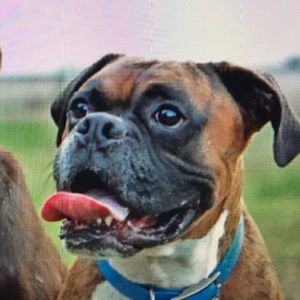 Meet your Posher, Grant